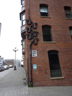 P1000021.JPG