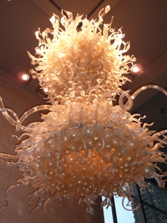 P1000029.JPG