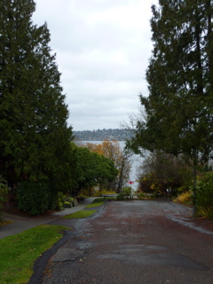 P1000037.JPG
