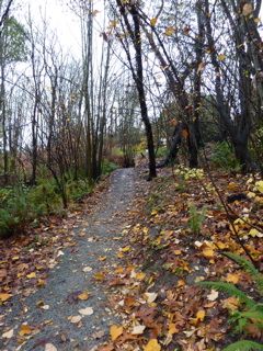 P1000039.JPG