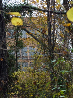 P1000040.JPG