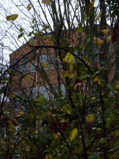 P1000042.JPG