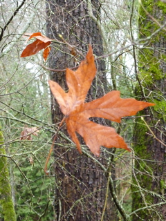 P1000044.JPG