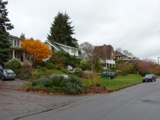 P1000045.JPG