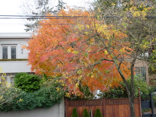 P1000049.JPG