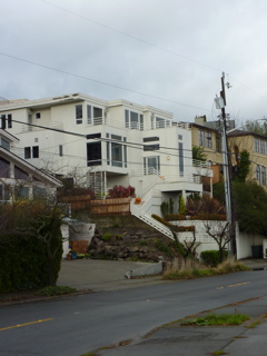 P1000050.JPG
