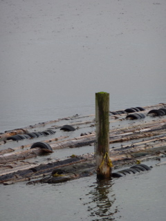 P1000054.JPG