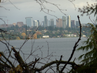 P1000056.JPG