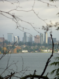 P1000057.JPG