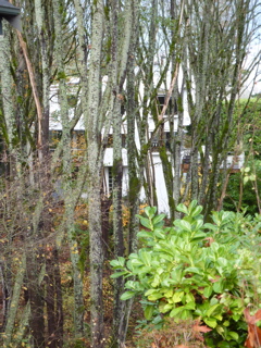 P1000061.JPG