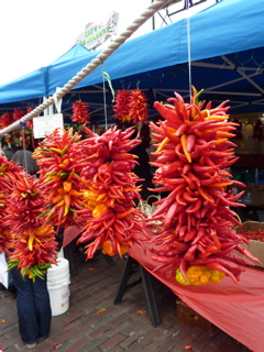 P1000016.JPG