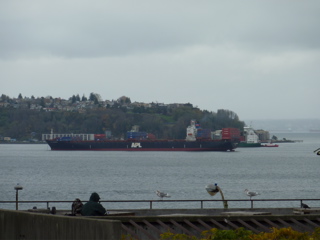 P1000017.JPG