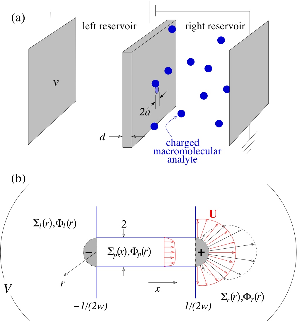 Electrostatics and electrokinetics